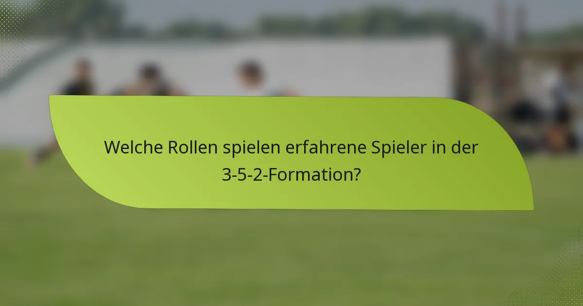 Welche Rollen spielen erfahrene Spieler in der 3-5-2-Formation?
