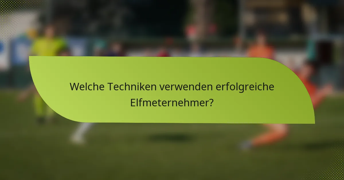 Welche Techniken verwenden erfolgreiche Elfmeternehmer?